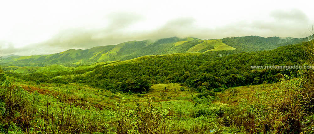 Chikmagalur Cool Weather