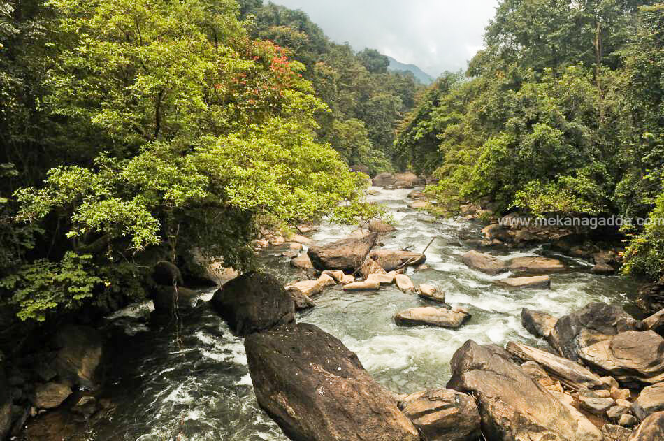 Western Ghats - Sakelshpur