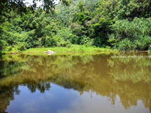 Bettada Bhairaveshwara Prasanna Temple Pond - Sakleshpur