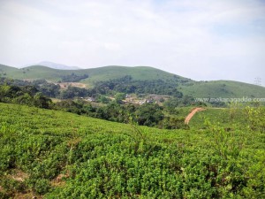 Places To Visit 3 Devaramane Hills