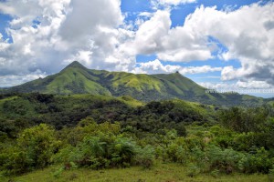 Jenkal Betta Sakleshpur