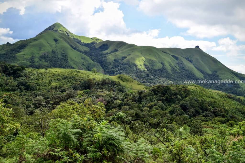 Jenukallu Gudda Trekking 1 Jenkal Gudda