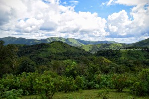 Jenkal Gudda - Western Ghats