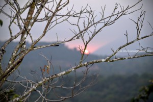 Sunset From Mekanagadde Estate