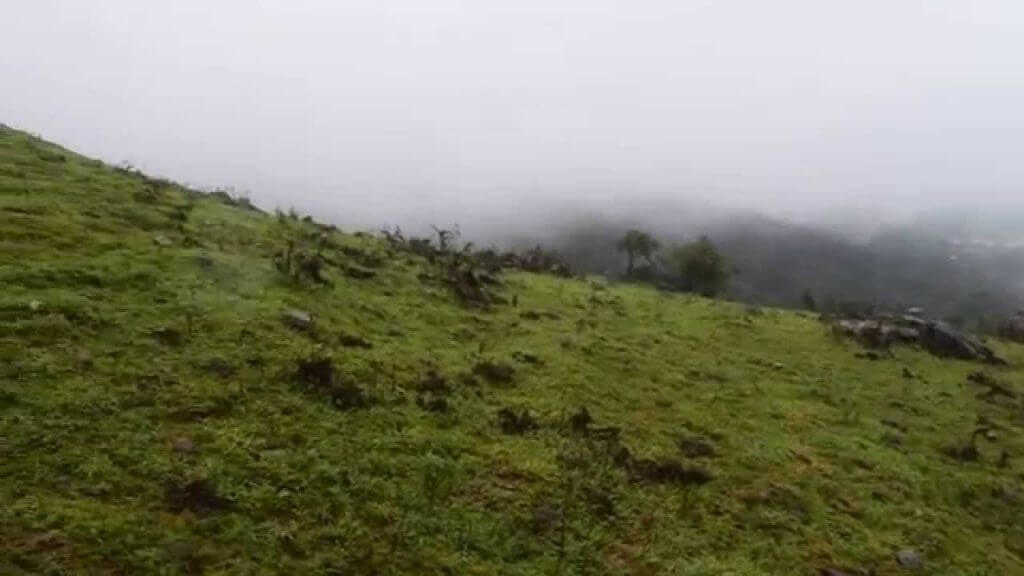 Experience Rainy Season in Western Ghats – Mekanagadde Homestay