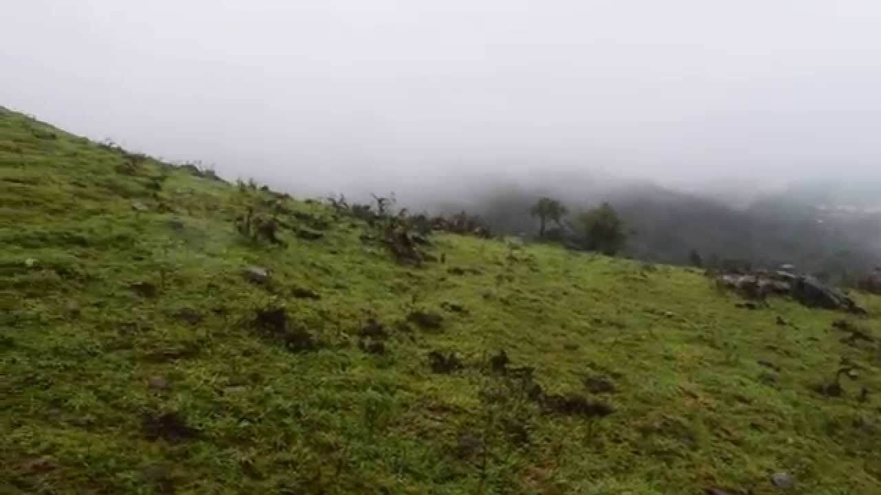 Experience Rainy Season in Western Ghats – Mekanagadde Homestay