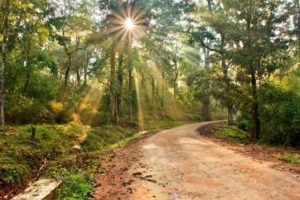 Connecting People To Nature 4 Chikmagalur
