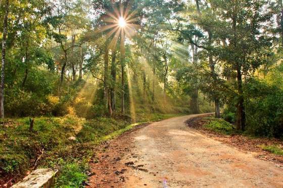 Chikmagalur