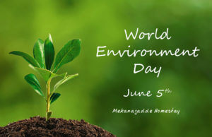 World Environment Day