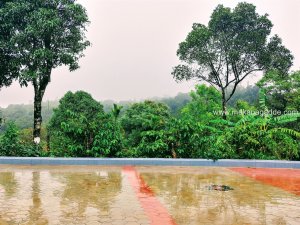 Mekanagadde Homestay in Western Ghats Nature