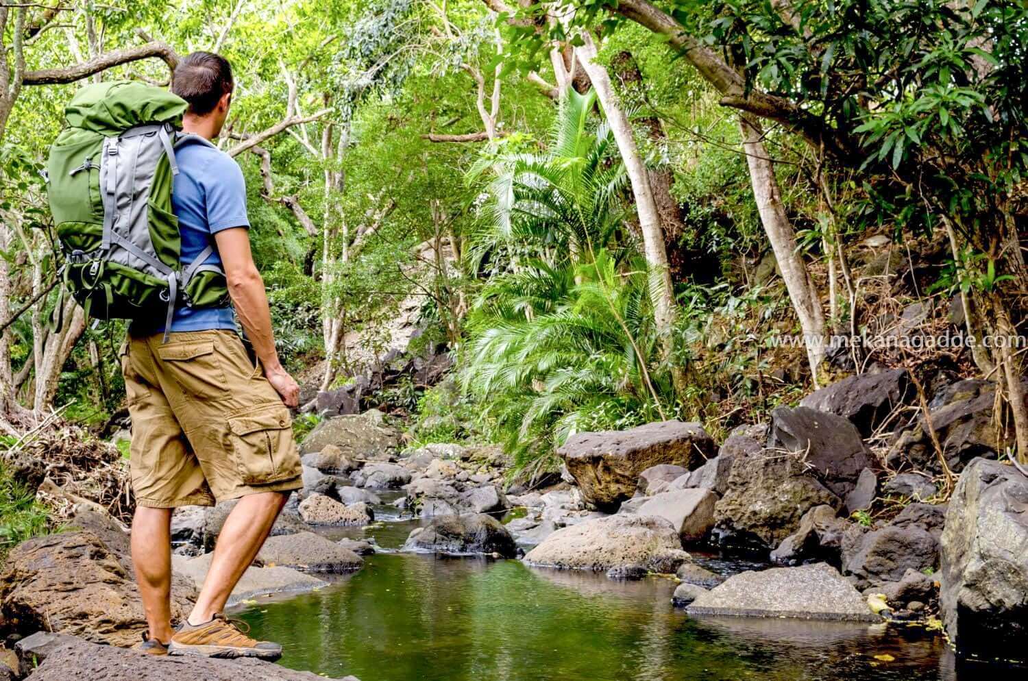 eco tourism Chikmagalur