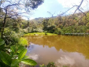 Bettada Byraveshwara Temple Pond