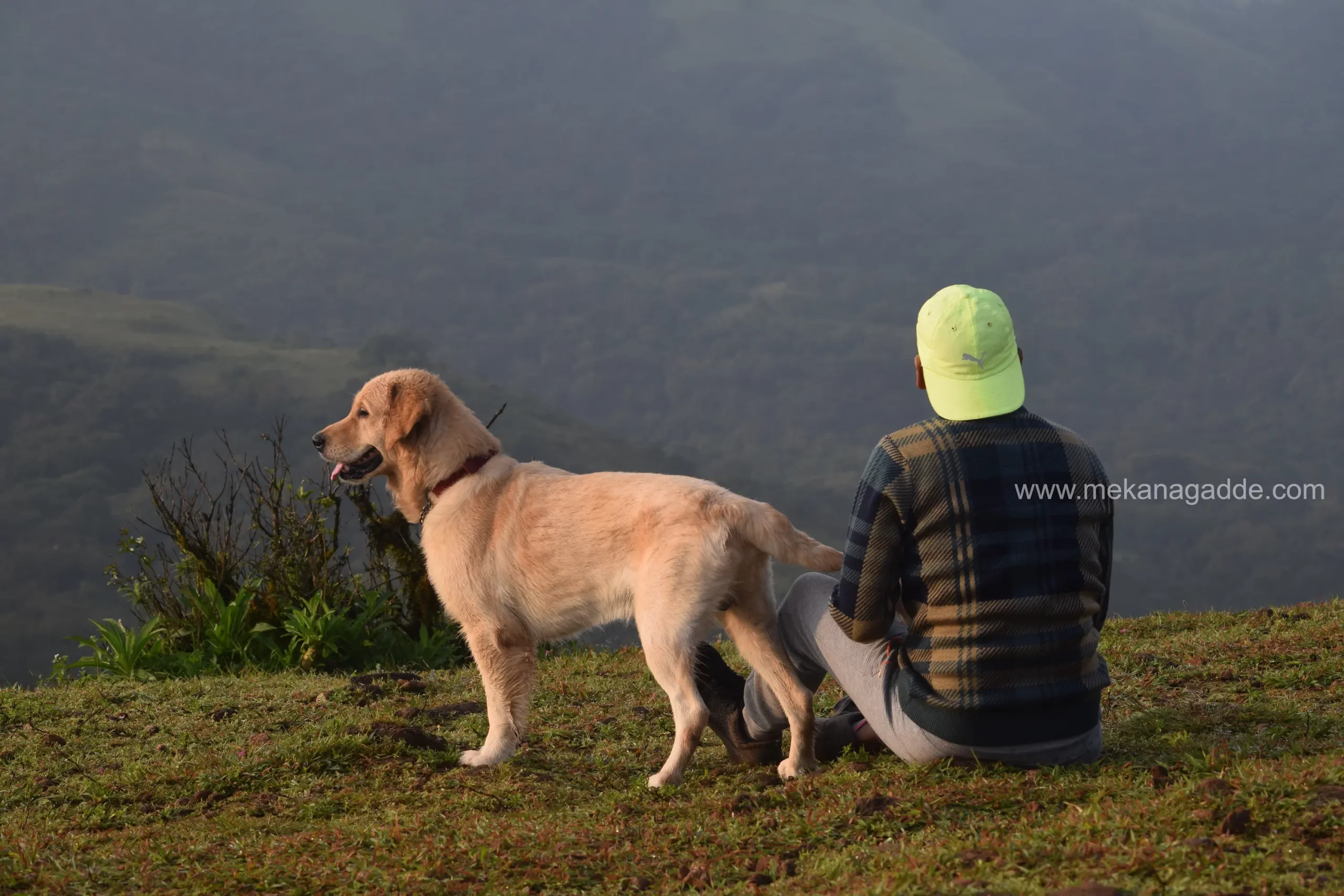 Pet-friendly Homestay in Chikmagalur
