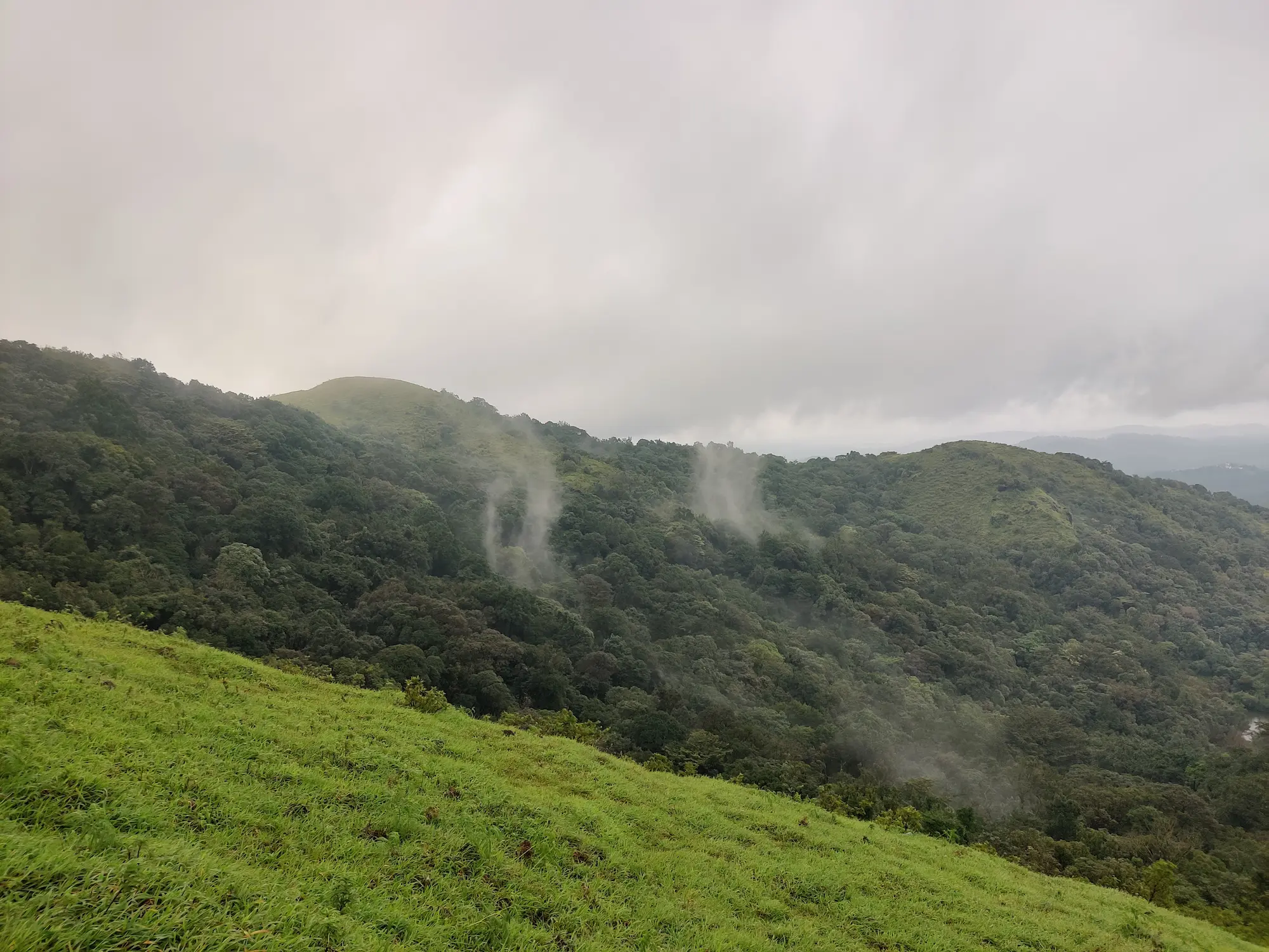 Why You Should Visit Chikmagalur During the Rainy Season