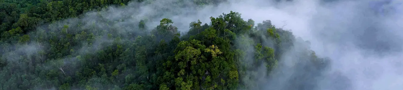 Western Ghats Mountains Covered with Mist